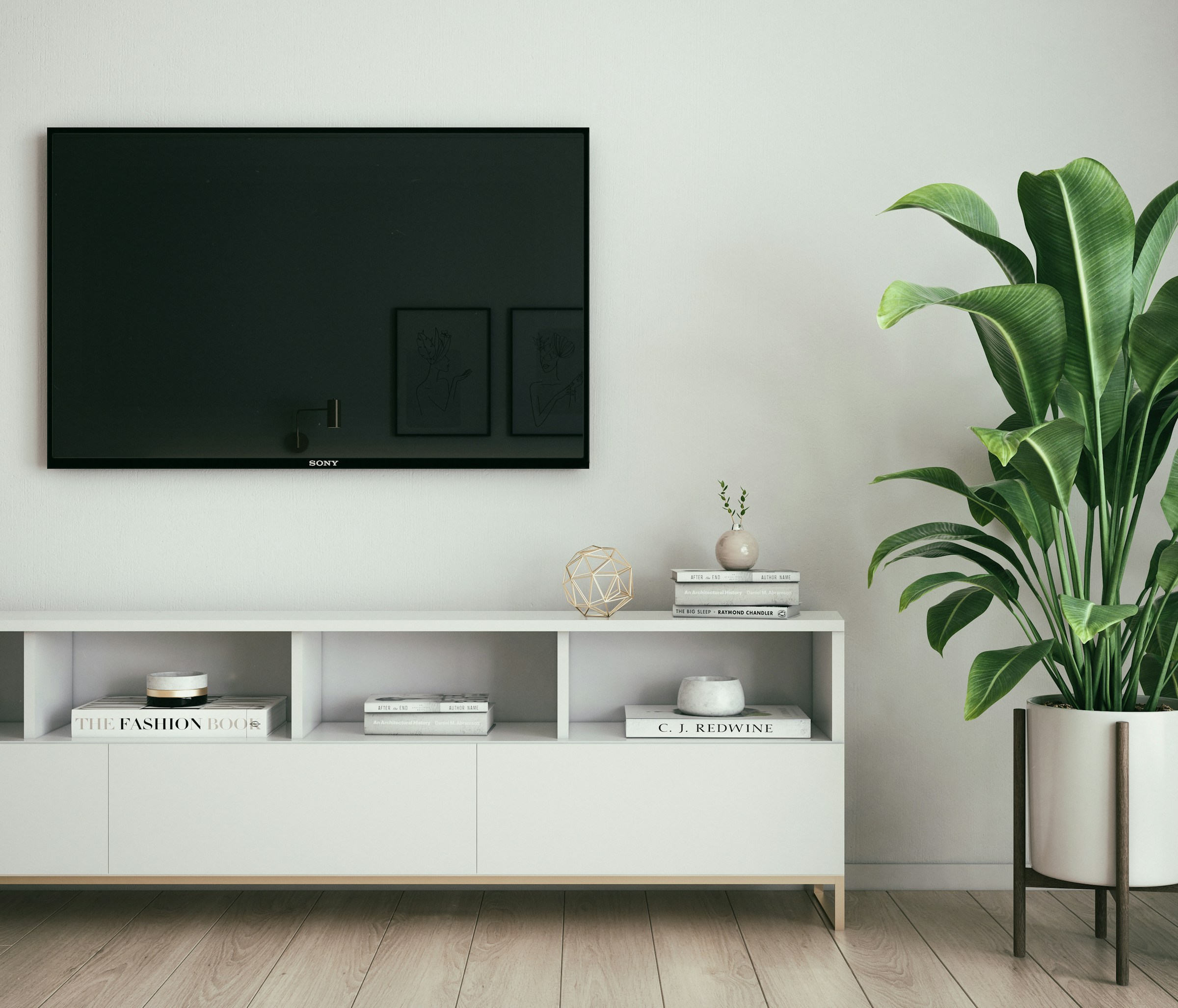 TV